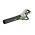 Baterijski puhalnik EGO Power+ Professional LB7650E